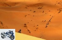 Out and about in the Sahara: dirt, sand and stones