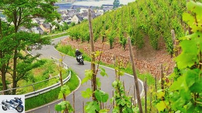 Out and about in Germany: Along the Moselle