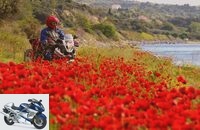 Out and about in Greece: motorcycle tour
