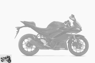 Yamaha YZF-R3 300 2019 technical