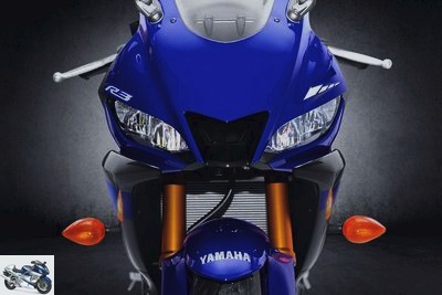 2020 Yamaha YZF-R3 300