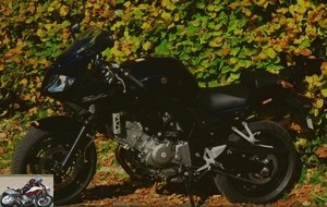 Suzuki SV650S side