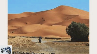 V-Power-Challenge: Through Morocco with Shell and Nick Sanders