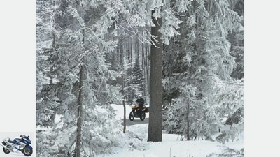 Winter trip to the Bavarian Forest