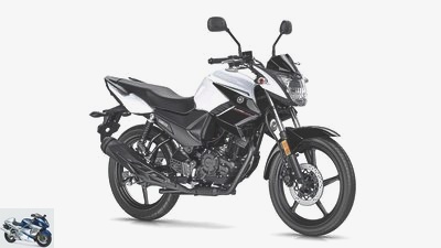 Yamaha in the 2020 model year